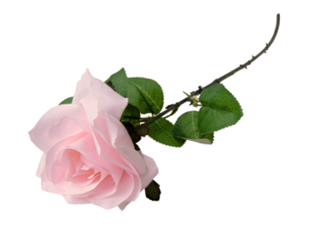 Vix Kwiat sztuczny róża 85cm.png