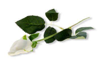 Vix Kwiat sztuczny róża kremziel.jpg