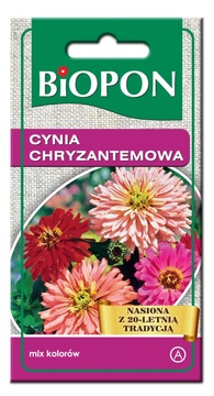 Biopon nasiona Cynia wytworna chryzantemowa.jpg