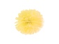 Party Pompon bibułowy żółt.jpg