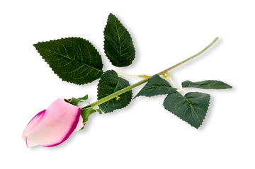 V Kwiat sztuczny róża różfi.jpg