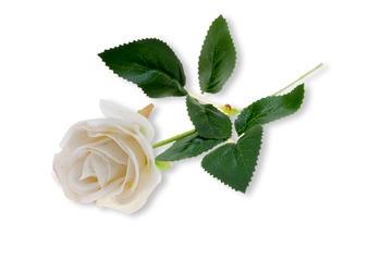 Vixon Kwiat sztuczny róża bia.jpg